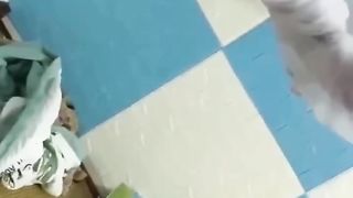 【69堂免费视频】【极品稀缺】最强刺激性爱甄选，真是高手在民间啊