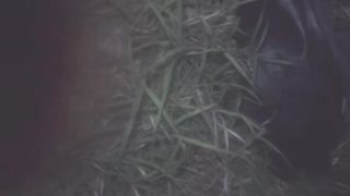 【69堂免费视频】气质尤物网红女神！户外各种玩！停车场网咖厕所，夜晚户外野战，蹲着舔弄吃吊，扶吊后入