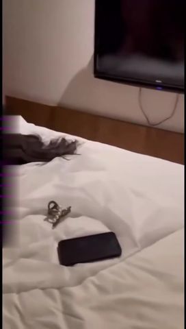 【69堂午夜视频】饥渴难耐的骚货 粉穴被干的淫水四溢