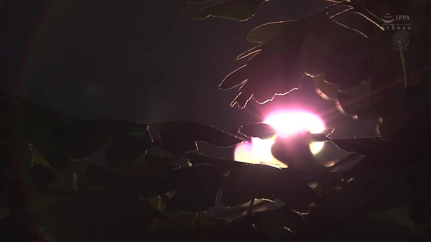 【69堂午夜视频】总共16次阴道射精镜头没有退出。2