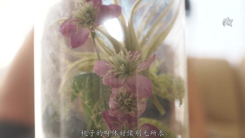 【69堂午夜视频】我的女儿失去了理智，尽管她讨厌它，但她开始向我索取大鸡巴。3