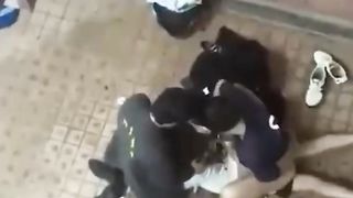 【69堂午夜视频】黑料吃瓜_香港热瓜_香港屋苑平台3P性爱派对被曝光_一人前一人后2男1女淫乱狂欢_视频流出后引起港区吃瓜群众一片哗然