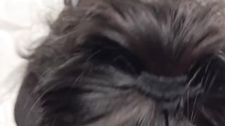 【69堂午夜视频】约操牛仔裤紧身衣美胸姐姐,极品前凸后翘,美胸上位绝了