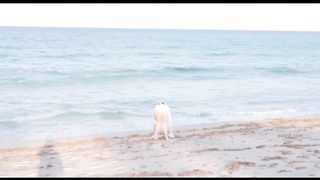 【69堂午夜视频】在海边更衣室做爱吧