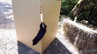 【69堂午夜视频】流浪猫娘抽插大骚逼